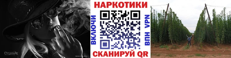 Где купить наркотики Коломна ГАШ  Псилоцибиновые грибы  СК  Канабис  Меф  КОКАИН 