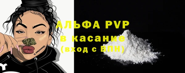 дживик Вяземский