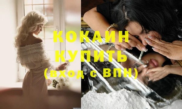 дживик Вяземский