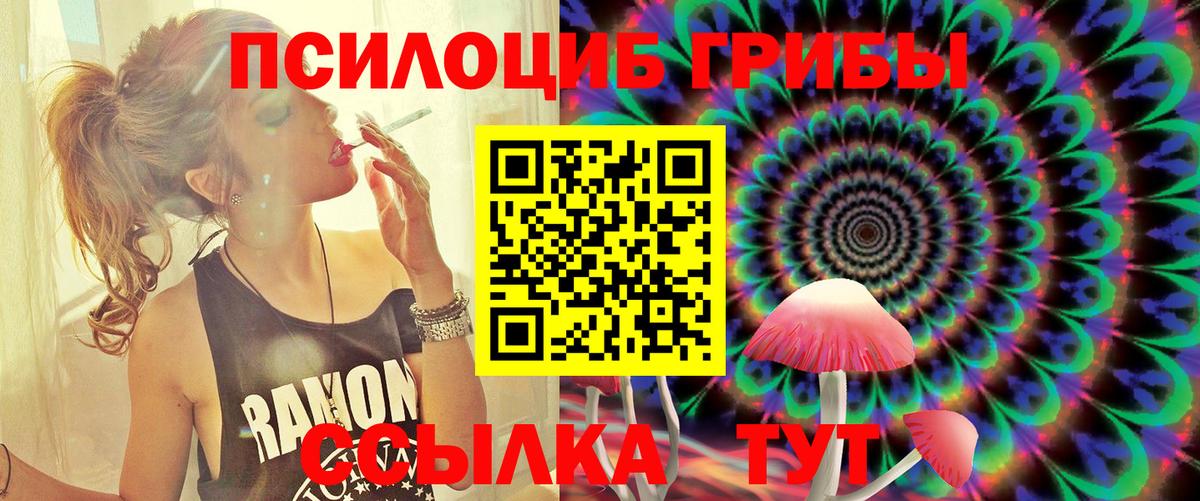 Псилоцибиновые грибы Psilocybine cubensis  Вход с VPN  Коломна  Псилоцибиновые грибы MAGIC MUSHROOMS 