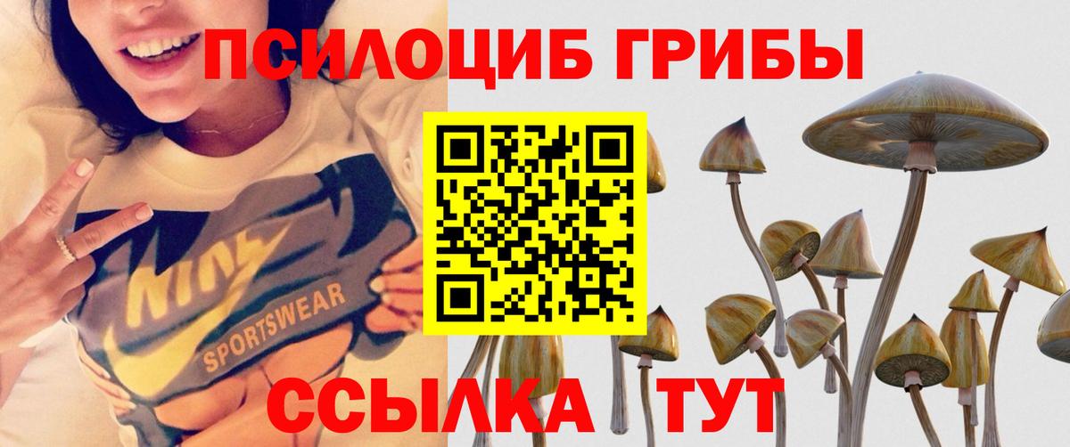 Галлюциногенные грибы мицелий Коломна